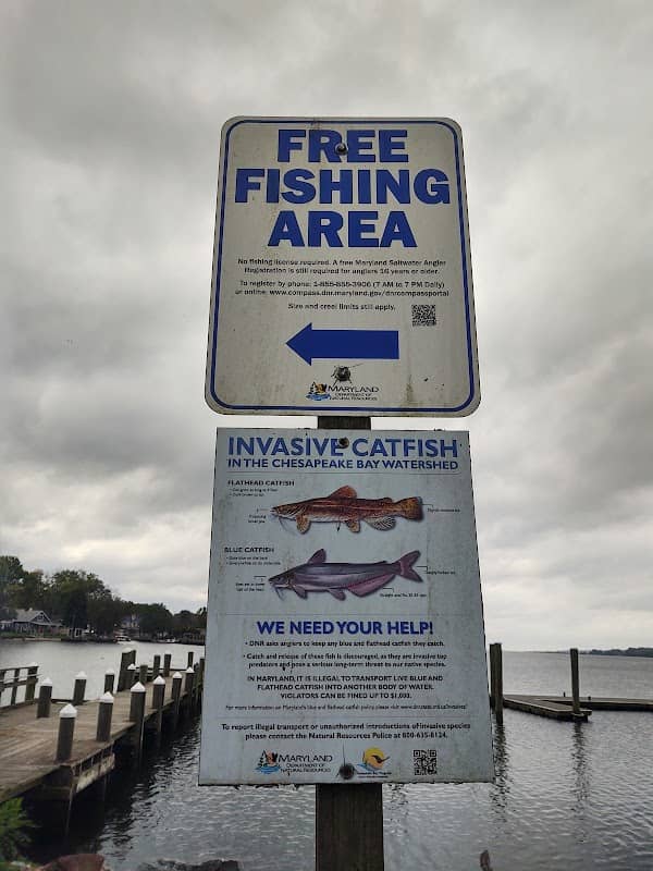 North East Town Pier - Image 1