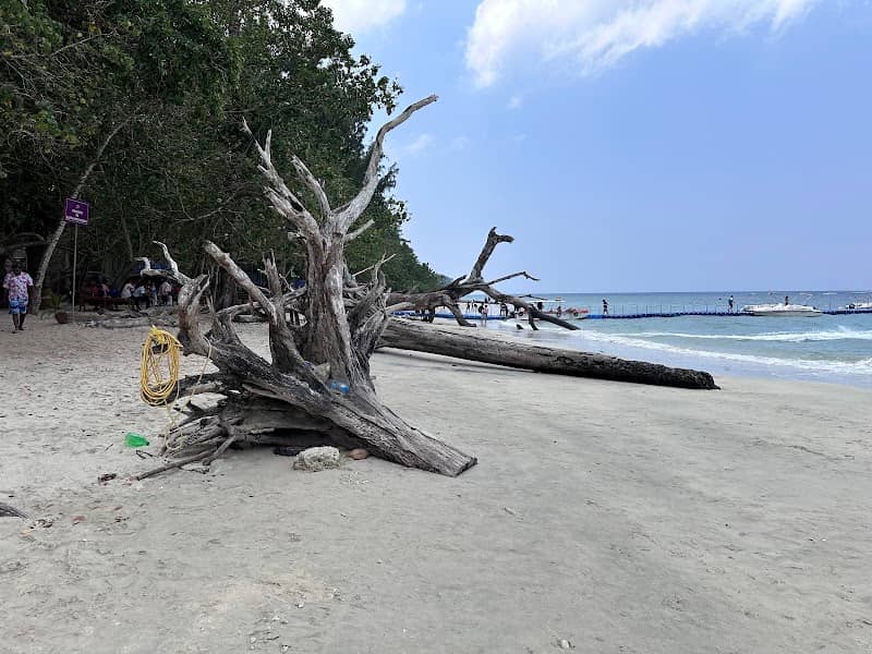 Andaman Sea Wonders - Image 2