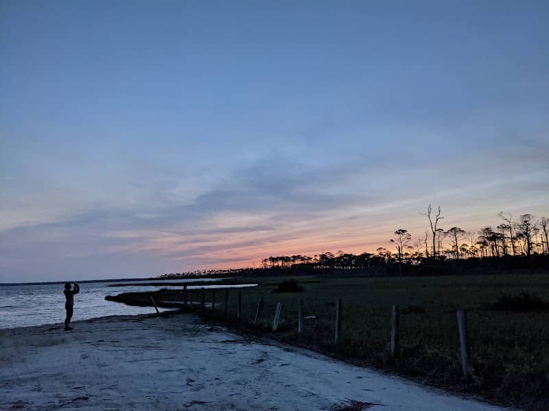 Deal Tract - St. Joseph Bay State Buffer Preserve - Image 1