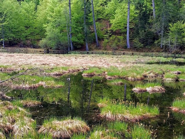 Alter See - Image 1