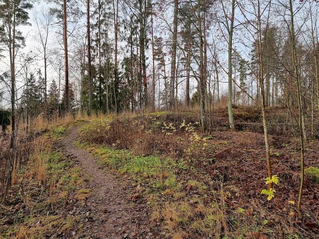 Hiidenmetsä - Image 1