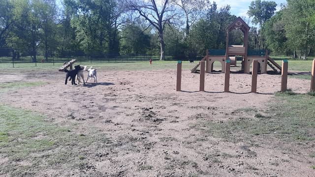 Cat Creek Dog Park - Image 1
