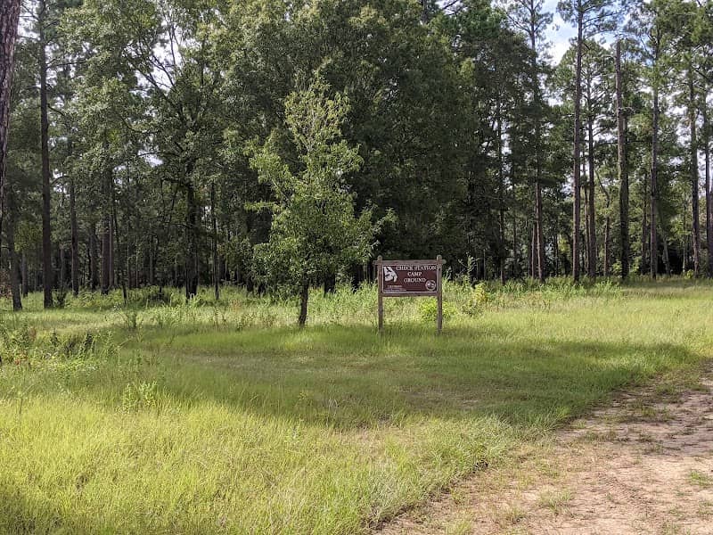 Ocmulgee Wildlife Management Area - Image 2