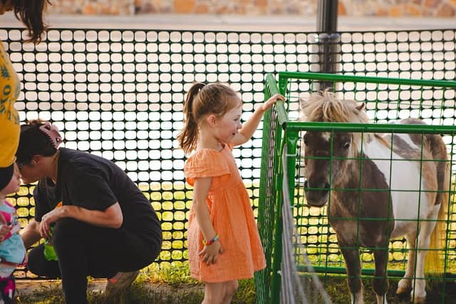 Wild Ones Ranch - Image 2