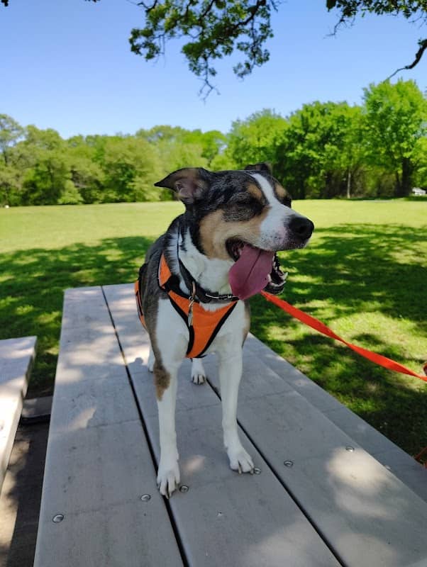 Sandy Creek Park - Image 2