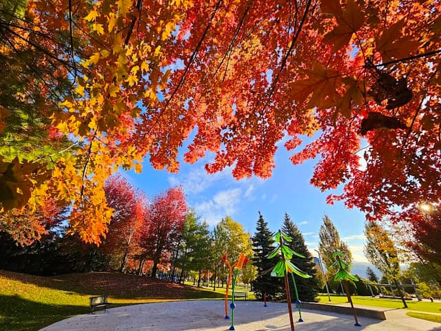 Millennium Park - Image 1