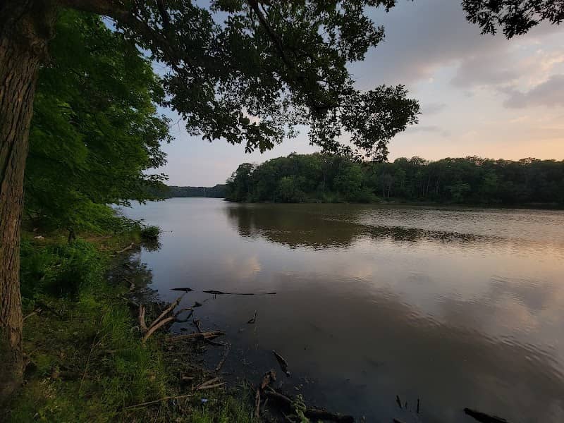 Sauk Trail Woods - Image 1
