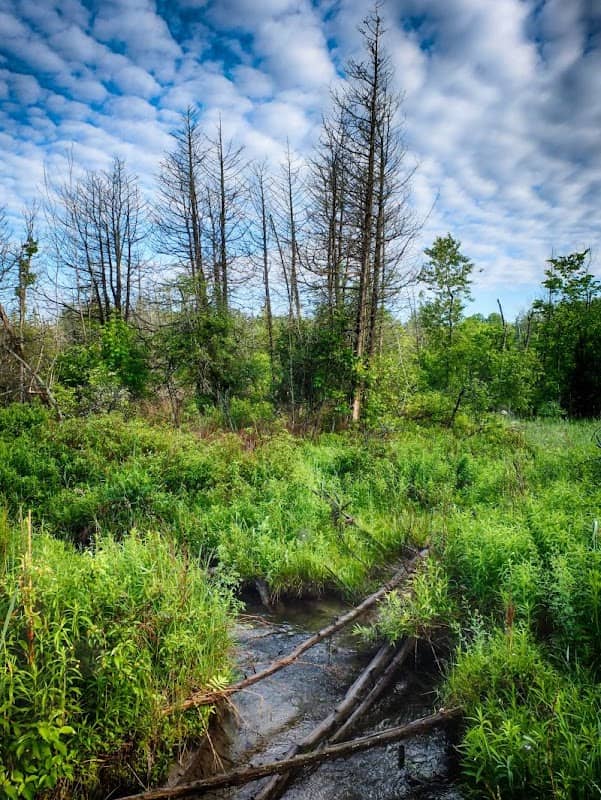 Harper Park - Image 2