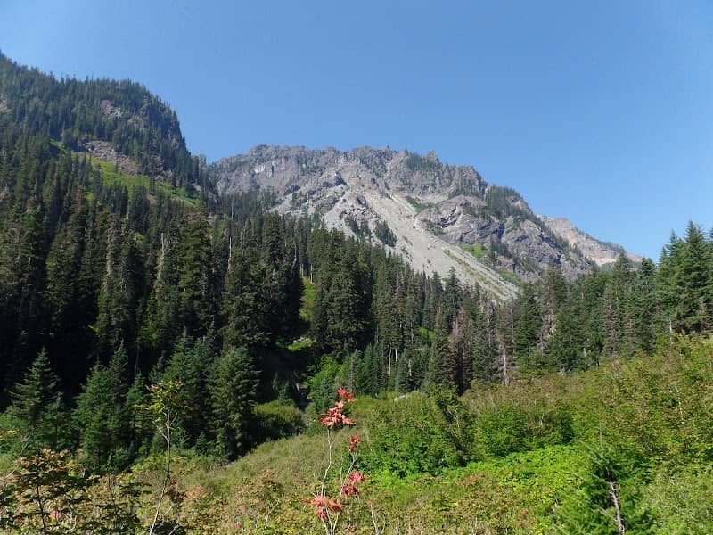 Mineral Creek Trail No 1331 - Image 1