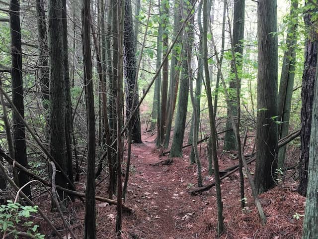 Mill Pond Trails - Image 2
