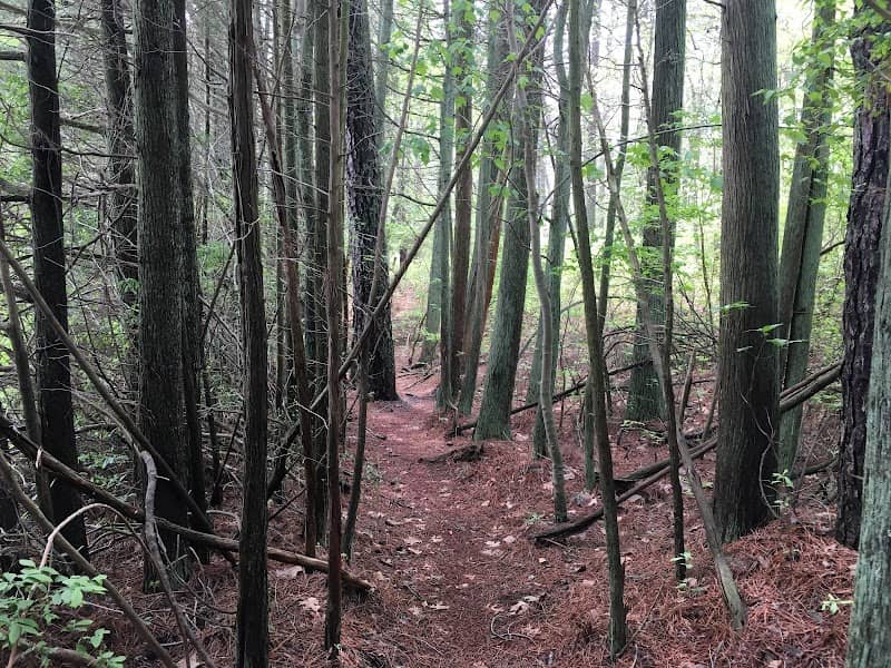 Mill Pond Trails - Image 1