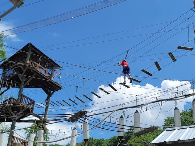 Monkey Business Adventure Park - Image 1