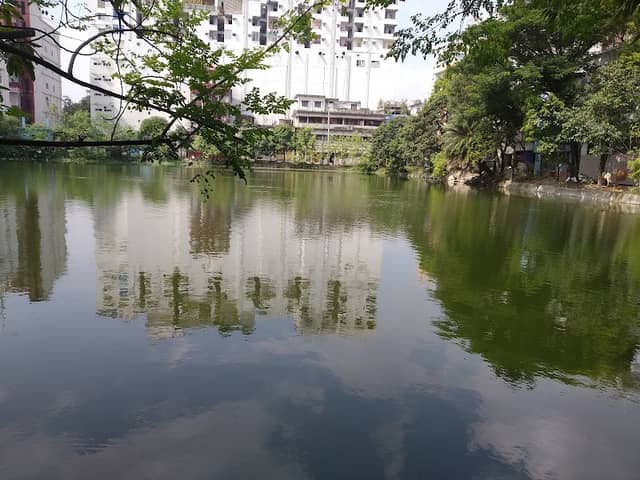 গৌরহাঙ্গা পুকুর - Image 1