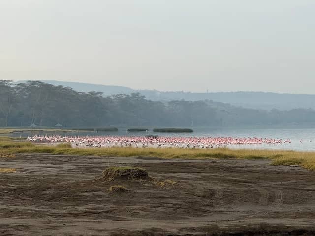 Lake Elementaita Wildlife Sancturary - Image 3