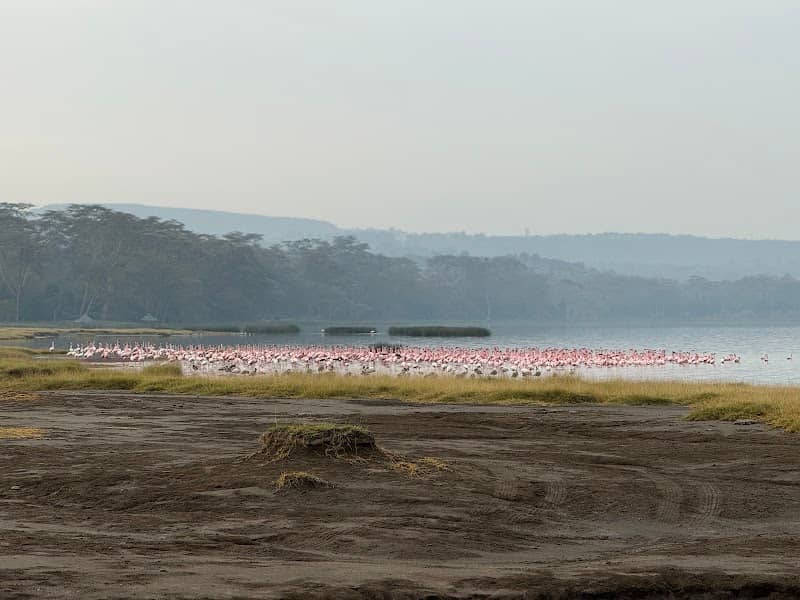 Lake Elementaita Wildlife Sancturary - Image 2
