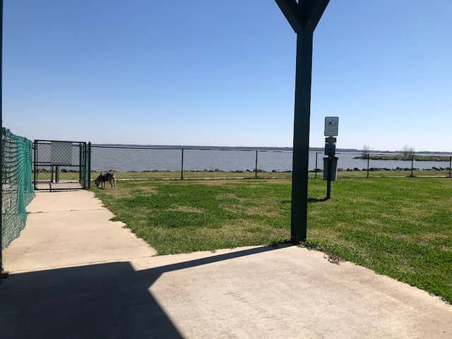 Lake End Bark Park - Image 1
