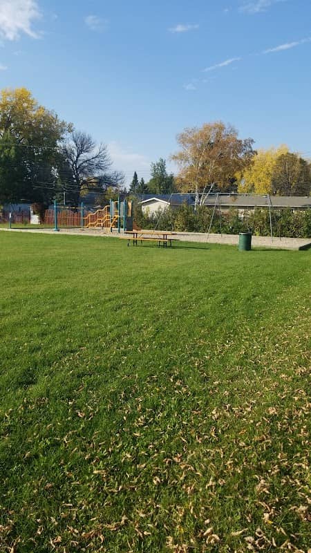 Zipline park - Image 1