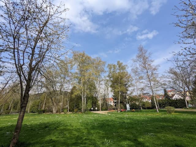 Parkanlage Wiesweiher - Image 2