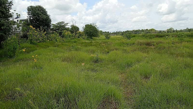 Vajpayee Layout Lake - Image 1