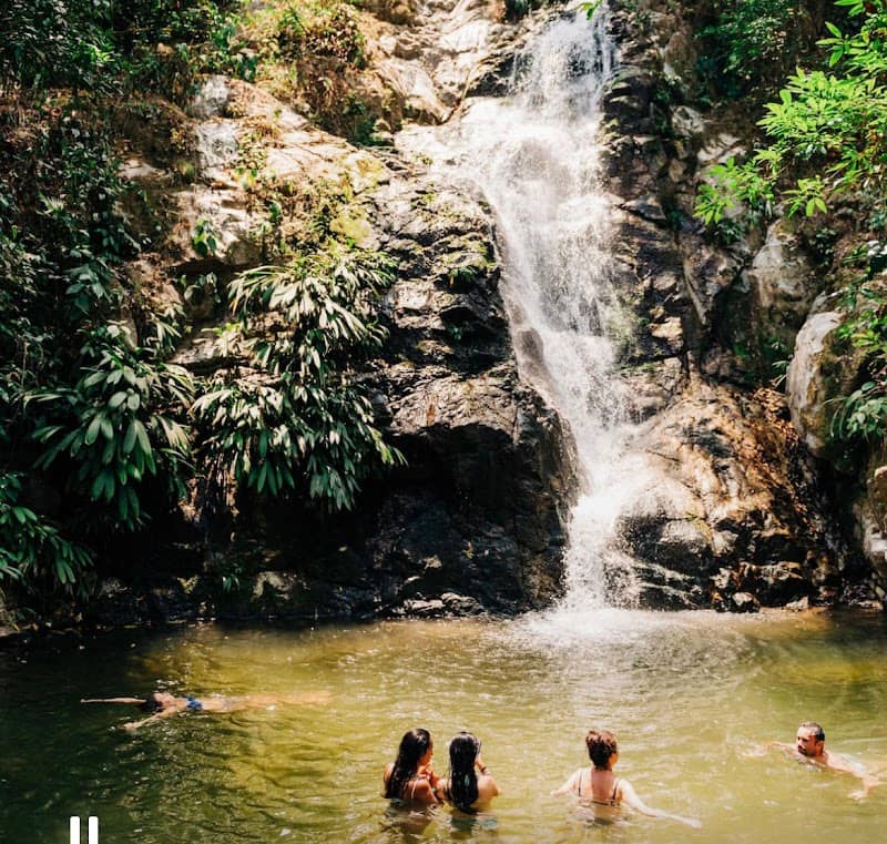 Day Hike in Minca and driver - Image 1