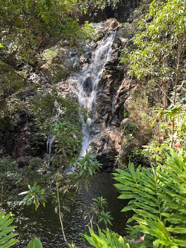 Day Hike in Minca and driver - Image 3