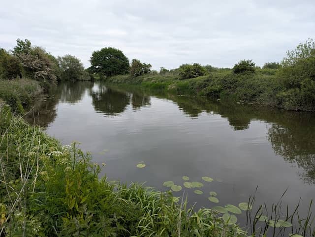River walk - Image 1