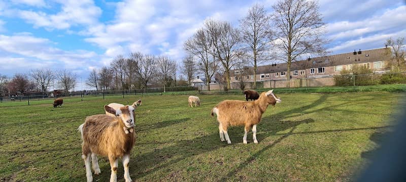 Ridder van Baexenpark - Image 2