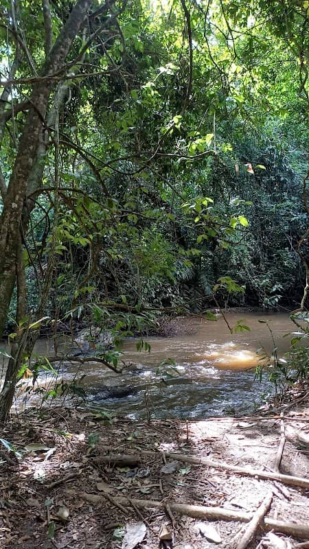 Cachoeira piraí - Image 1