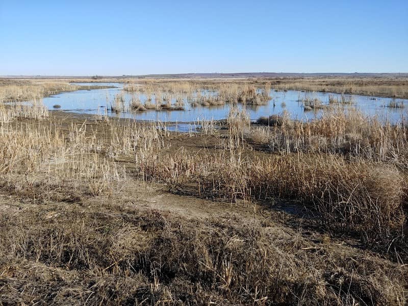 Wahluke Ponds - Image 1