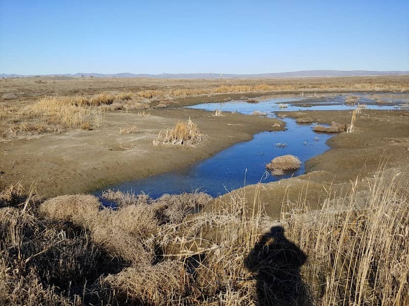 Wahluke Ponds - Image 2