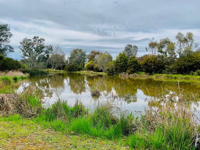 Mansfield Mullum Wetlands - Image 1
