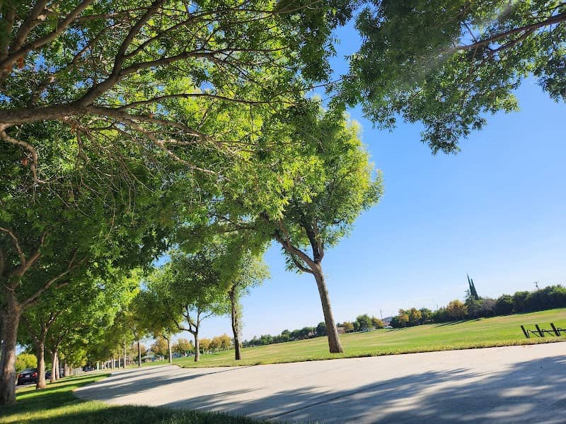 Persimmon Park - Image 1