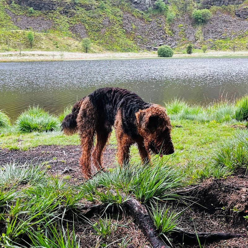 Llyn Fach - Image 2