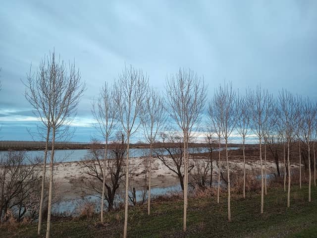Isola dei Caimani - Image 1