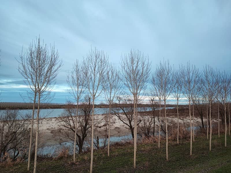 Isola dei Caimani - Image 1