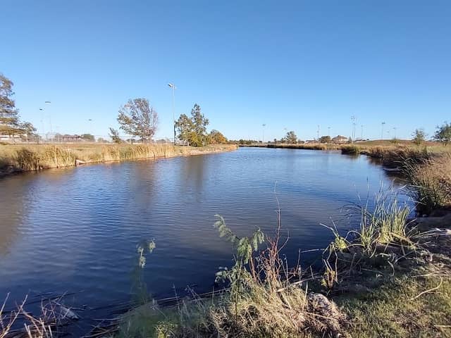 Plum Lake - Image 1