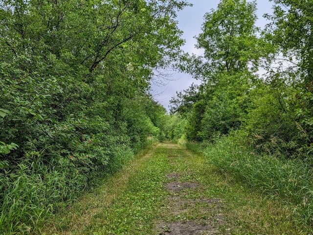 French Creek Preserve at Orono Township - Image 1