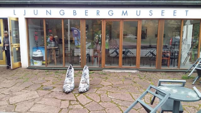 Ljungbergmuseet - Image 2