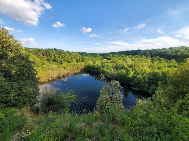 Grays Chalk Quarry Nature Reserve - Image 3