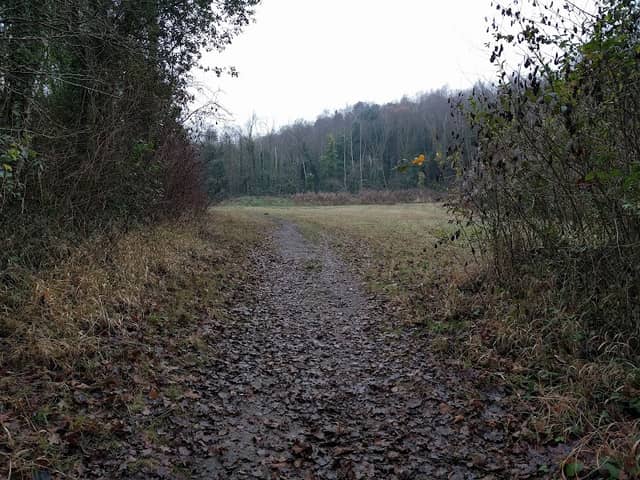 Grays Chalk Quarry Nature Reserve - Image 1
