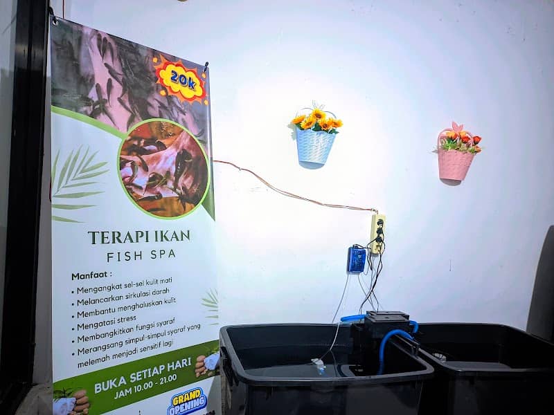 Terapi Ikan - Image 1