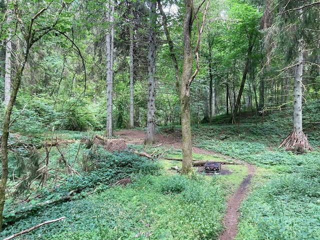 HENE NATURRESERVAT - Image 1
