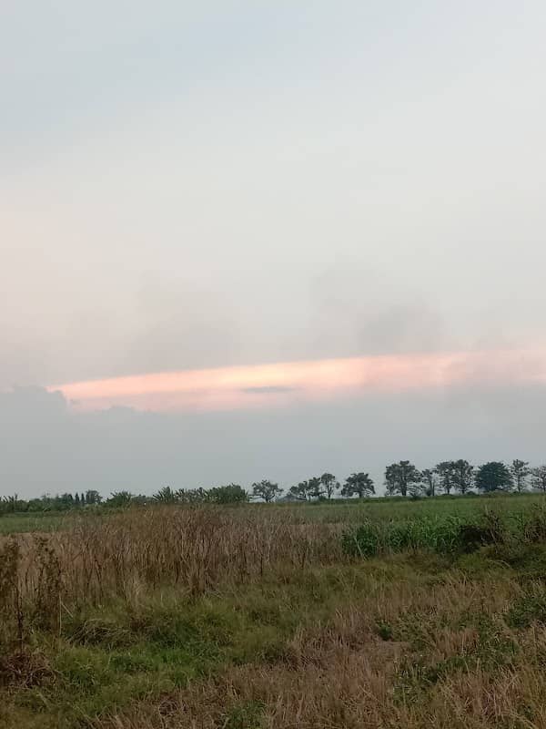 Bok ijo - Image 1