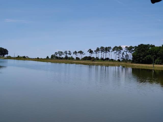 Hoffler Creek Wildlife Preserve - Image 3