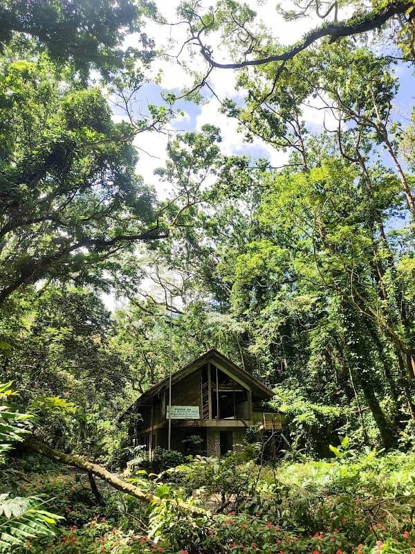 Pook ni Mariang Makiling - Image 1