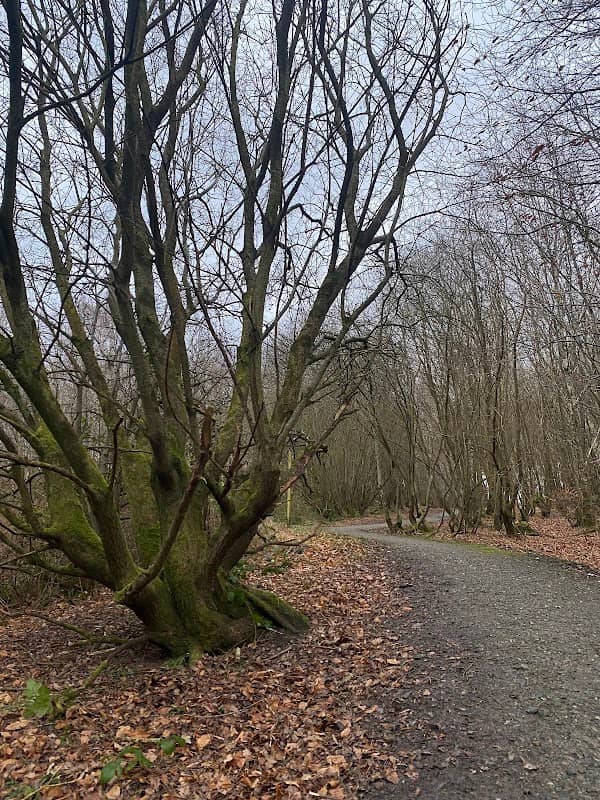 Dungiven Castle Park - Image 1