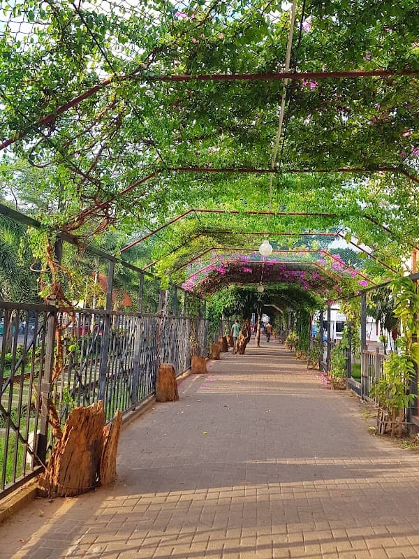 මල් වියන (Green Curve) - Image 1