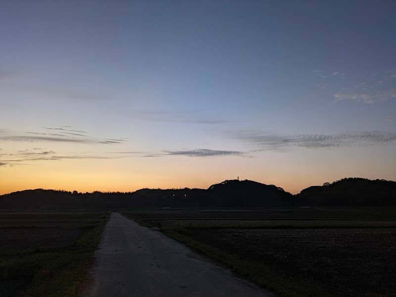 Firefly View Spot - Image 1