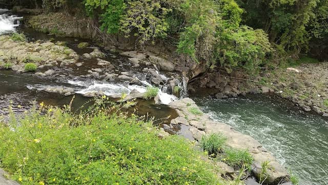 矢野坂の滝 - Image 2