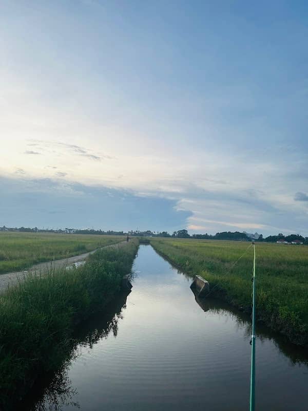 Ladang Merdeka Mulong - Image 1